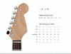 small screen shot of Guitar Tuner program